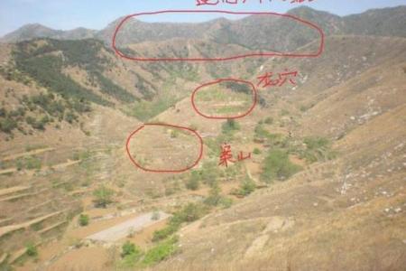 怎么看农村祖坟风水宝地的要求