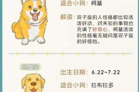 狗属于哪个星座?星座性格大揭秘!
