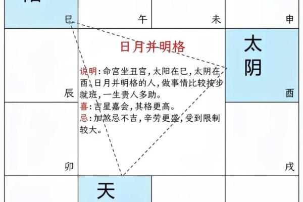 紫云紫薇斗数系列