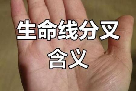 风水手相怎么看生命线断开是什么意思