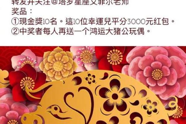 塔罗测试：金猪报福，你的财运如何？