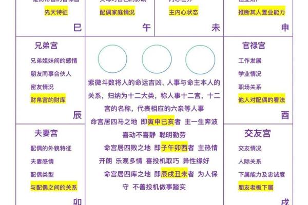 紫薇斗数累世报应格的简单介绍