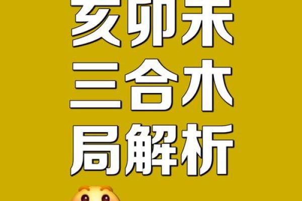 八字见三申一亥 八字见三申一亥