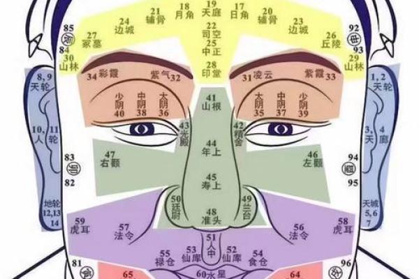 面部衰老八字图 面部衰老八字图