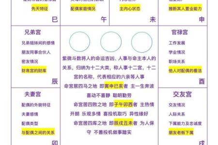 紫薇斗数累世报应格的简单介绍