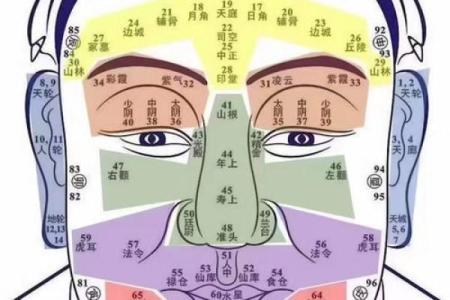 面部衰老八字图