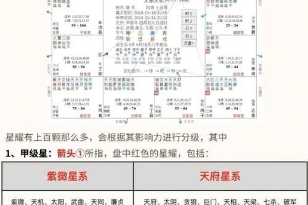 紫薇斗数测学业