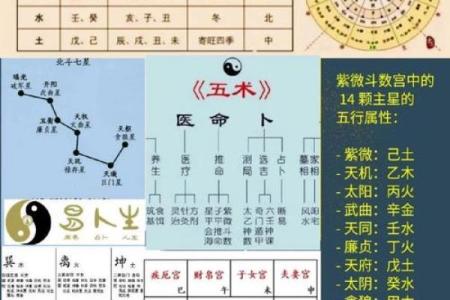 紫薇斗数测学业